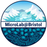 MicroLab@Bristol
